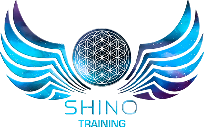 Shino Bay Training